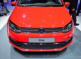 Volkswagen Polo   2017 - (ĐẠT DAVID) Bán Volkswagen Polo Hatchback, (màu đỏ, đen, xám, bạc), nhập khẩu chính hãng LH: 0933.365.188