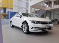 Volkswagen Passat 1.8 Bluemotion 2017 - Bán xe Volkswagen Passat 1.8 Bluemotion đời 2017, màu trắng, nhập khẩu nguyên chiếc