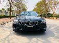 BMW 5 Series 520i 2016 - Bán ô tô BMW 5 Series 520i 2016, màu đen, nhập khẩu nguyên chiếc như mới