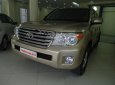 Toyota Land Cruiser 2010 - Cần bán gấp Toyota Land Cruiser sản xuất năm 2010, màu vàng, nhập khẩu nguyên chiếc