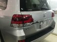 Toyota Land Cruiser VX 4.6 V8 2016 - Bán xe Toyota Land Cruiser VX 4.6 đời 2016, màu bạc, xe nhập