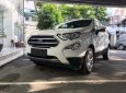 Ford EcoSport Titanium 1.5L AT 2018 - Bán Ford EcoSport Titanium 1.5L AT đời 2018, màu trắng