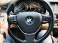 BMW 5 Series 520i 2016 - Bán ô tô BMW 5 Series 520i 2016, màu đen, nhập khẩu nguyên chiếc như mới