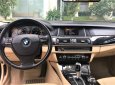 BMW 5 Series 520i 2014 - Bán BMW 5 Series 520i đời 2014, màu đen, nhập khẩu nguyên chiếc