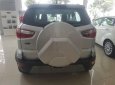 Ford EcoSport Titanium 2018 - Bán Ford EcoSport Titanium đời 2018, màu bạc, 648tr