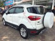 Ford EcoSport Titanium 1.5L AT 2016 - Bán Ford EcoSport Titanium 1.5L AT năm sản xuất 2016, màu trắng chính chủ, giá tốt