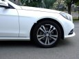 Mercedes-Benz E class E250 2014 - Bán xe Mercedes E250 năm sản xuất 2014, màu trắng