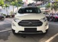 Ford EcoSport Titanium 1.5L AT 2018 - Bán Ford EcoSport Titanium 1.5L AT đời 2018, màu trắng