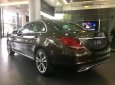 Mercedes-Benz C class C250 Exclusive 2018 - Cần bán xe Mercedes C250 Exclusive sản xuất năm 2018, màu nâu