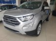 Ford EcoSport Titanium 2018 - Bán Ford EcoSport Titanium đời 2018, màu bạc, 648tr