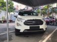 Ford EcoSport Titanium 1.5L AT 2018 - Bán Ford EcoSport Titanium 1.5L AT đời 2018, màu trắng