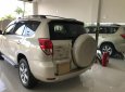 Toyota RAV4 2.4 AT 2008 - Bán Toyota RAV4 2.4 AT năm sản xuất 2008, màu vàng, xe nhập