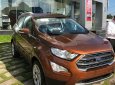 Ford EcoSport Titanium 1.5L AT 2018 - Bán Ford EcoSport Titanium 1.5L AT sản xuất 2018, màu nâu