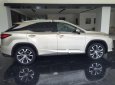 Lexus RX 350 2018 - Bán xe Lexus RX 350 sản xuất 2018, màu vàng, xe nhập