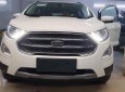 Ford EcoSport Ecoboost 2018 - Bán Ford EcoSport Ecoboost sản xuất 2018, màu trắng