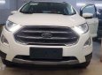 Ford EcoSport 1.5l AT Titanium  2018 - Bán ô tô Ford EcoSport 1.0l, 1.5l AT Titanium, 1.5L AT Trend, 1.5l AT Ambiente 1.5lMT Ambiente đời 2018, màu trắng