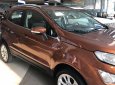 Ford EcoSport Titanium 1.0 EcoBoost 2018 - Bán xe Ford EcoSport Titanium 1.0 EcoBoost năm 2018, màu nâu 