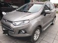 Ford EcoSport Titanium 1.5L AT 2016 - Bán Ford EcoSport Titanium 1.5L AT 2016, màu xám  