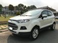 Ford EcoSport 2014 - Bán Ford EcoSport sản xuất năm 2014, màu trắng 