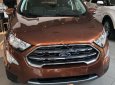 Ford EcoSport Titanium 1.0 EcoBoost 2018 - Bán xe Ford EcoSport Titanium 1.0 EcoBoost năm 2018, màu nâu 