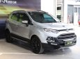 Ford EcoSport Titanium 1.5L AT 2015 - Bán Ford EcoSport Titanium 1.5L AT sản xuất 2015, màu bạc