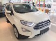 Ford EcoSport 1.5l AT Titanium  2018 - Bán ô tô Ford EcoSport 1.0l, 1.5l AT Titanium, 1.5L AT Trend, 1.5l AT Ambiente 1.5lMT Ambiente đời 2018, màu trắng