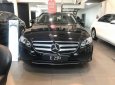 Mercedes-Benz E class E250 2018 - Bán xe Mercedes E250 đời 2018, màu đen