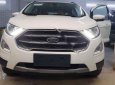 Ford EcoSport Titanium 1.0 EcoBoost 2018 - Bán xe Ford EcoSport Titanium 1.0 EcoBoost SX năm 2018, màu trắng