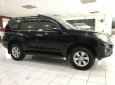 Toyota Prado   TXL   2013 - Bán xe Toyota Prado TXL đời 2013, màu đen, nhập khẩu