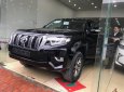 Toyota Prado VX 2018 - Cần bán xe Toyota Prado VX đời 2018, màu đen, nhập khẩu