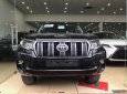 Toyota Prado VX 2018 - Cần bán xe Toyota Prado VX đời 2018, màu đen, nhập khẩu