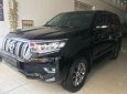 Toyota Prado VX 2.7L 2018 - Bán ô tô Toyota Prado VX 2.7L năm sản xuất 2018, màu đen, nhập khẩu nguyên chiếc