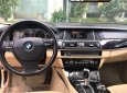 BMW 5 Series  520i  2014 - Cần bán lại xe BMW 5 Series 520i năm sản xuất 2014 chính chủ