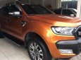 Ford Ranger Wildtrak 3.2L 4x4 AT 2016 - Cần bán gấp Ford Ranger Wildtrak 3.2L năm 2016, xe nhập, giá chỉ 828 triệu