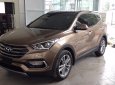 Hyundai Santa Fe 2018 - Bán xe Hyundai Santa Fe đời 2018, màu nâu, xe nhập
