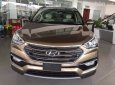 Hyundai Santa Fe 2018 - Bán xe Hyundai Santa Fe đời 2018, màu nâu, xe nhập