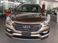 Hyundai Santa Fe 2018 - Bán xe Hyundai Santa Fe đời 2018, màu nâu, xe nhập