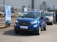 Ford EcoSport 1.5L Trend 2018 - Xe Ford EcoSport 1.5L Trend 2018 giá tốt nhất hiện nay liên hệ ngay với chúng tôi 093.309.1713 Hoài Ford