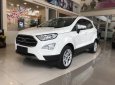 Ford EcoSport 1.5 Titanium 2018 - Ford EcoSport 1.5 Titanium sản xuất 2018, giá tốt nhất hiện nay