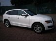 Audi Q5 3.2FSI 2009 - Bán Audi Q5 3.2FSI 2009, màu trắng, xe nhập