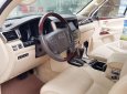 Lexus LX 570 2010 - Bán Lexus LX570 sản xuất 2010, đăng ký 2011 tên công ty