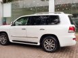 Lexus LX 570 2010 - Bán Lexus LX570 sản xuất 2010, đăng ký 2011 tên công ty