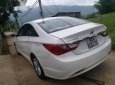 Hyundai Sonata    2010 - Bán Hyundai Sonata đời 2010, màu trắng số tự động