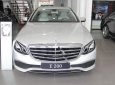 Mercedes-Benz E class E200 2018 - Cần bán Mercedes E200 sản xuất năm 2018, màu bạc