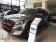 Ford Ranger 2017 - Bán Ford Ranger năm 2017, màu xám