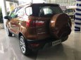 Ford EcoSport   2018 - Bán Ford EcoSport 2018, màu nâu