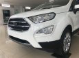 Ford EcoSport 2018 - Bán Ford EcoSport sản xuất 2018, màu trắng