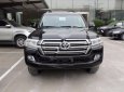 Toyota Land Cruiser VX 4.6 V8 2016 - Bán Toyota Land Cruiser VX 4.6 V8 2016, màu đen, xe nhập