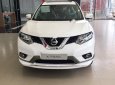 Nissan X trail 2.0 SL 2WD Premium 2018 - Bán Nissan X trail 2.0 SL 2WD Premium SX 2018, màu trắng 