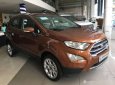 Ford EcoSport   2018 - Bán Ford EcoSport 2018, màu nâu